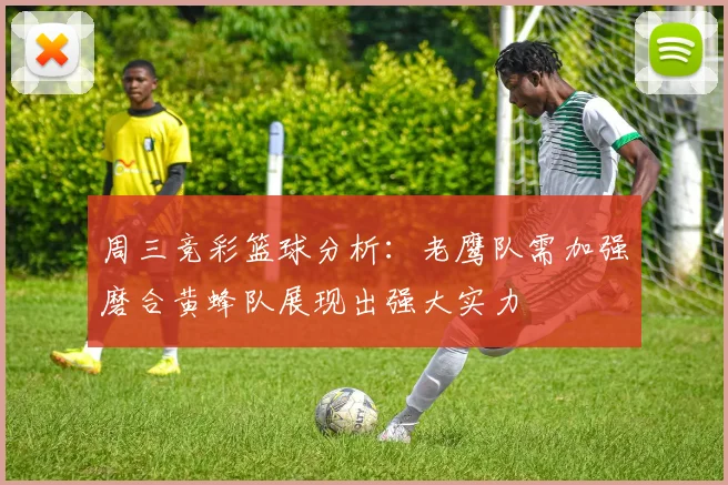 周三竞彩篮球分析：老鹰队需加强磨合黄蜂队展现出强大实力