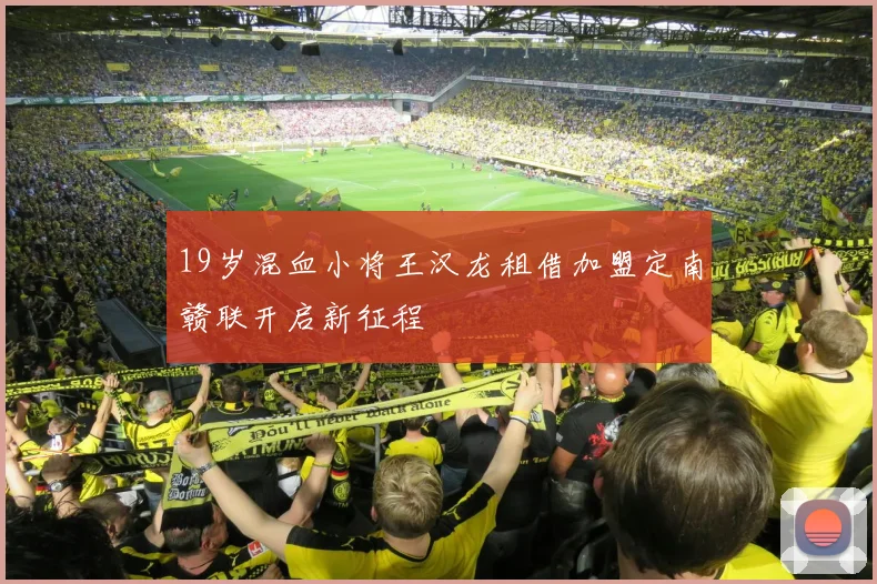 19岁混血小将王汉龙租借加盟定南赣联开启新征程