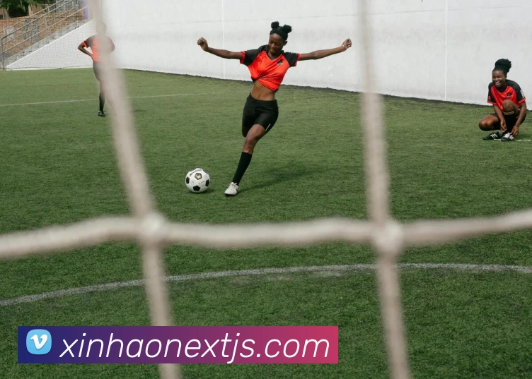 新濠博亚官网服务体系