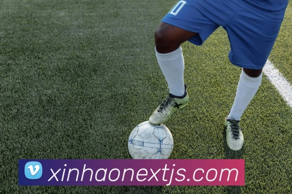 新濠博亚官网APP 体育赛事宣传图